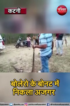 video story : बोलेरो के बोनट में निकला अजगर