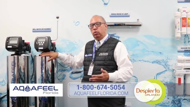 Despierta Orlando 050421 - AQUA FEEL