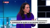 Tatiana Renard-Barzach : «La candidature d'Éric Zemmour est née sur les cendres d'un parti Les Républicains qui n'a pas eu de candidat naturel»