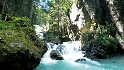 Copyright free Relaxing Sleep Music With Nature and Rain Sounds - Meditation, Waterfall Rainforest
