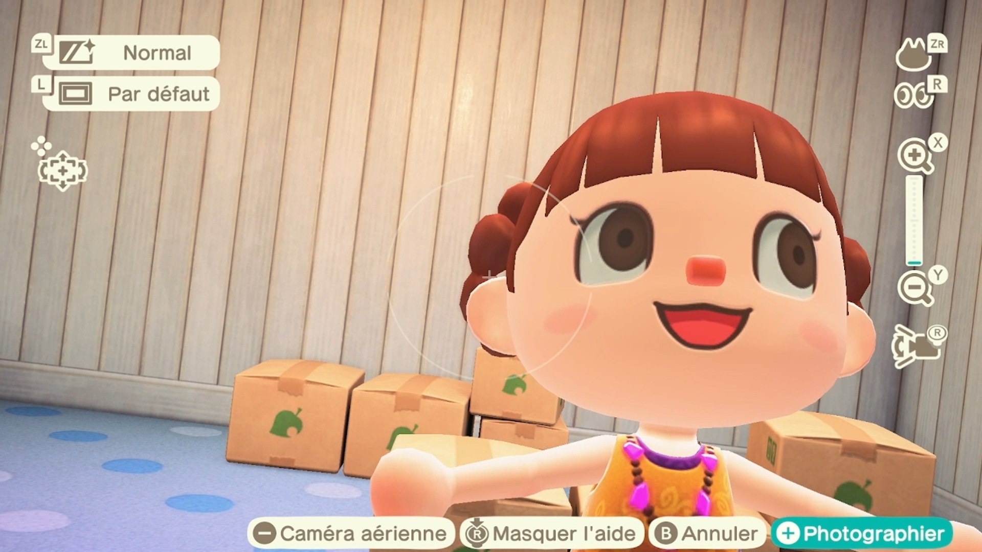 Tutoriel pour prendre un selfie dans Animal Crossing New Horizons - Vidéo  Dailymotion