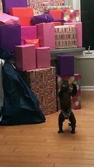 Gonna party like it’s my birthday!!! Party!!