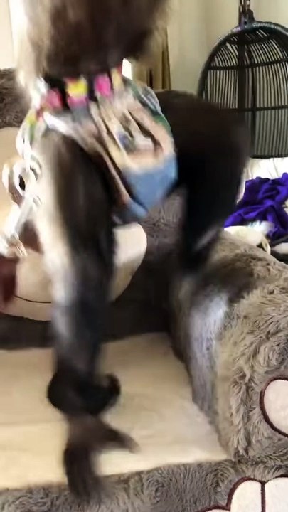 I’m trying to tell these people in the kitchen to look at me and my dried cranberries Mrs Ann Flick I’m so happy!