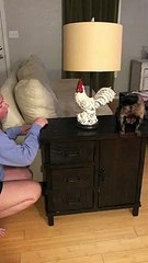 My sissy is going to bed! She always needs so many kisses  ‍♀️