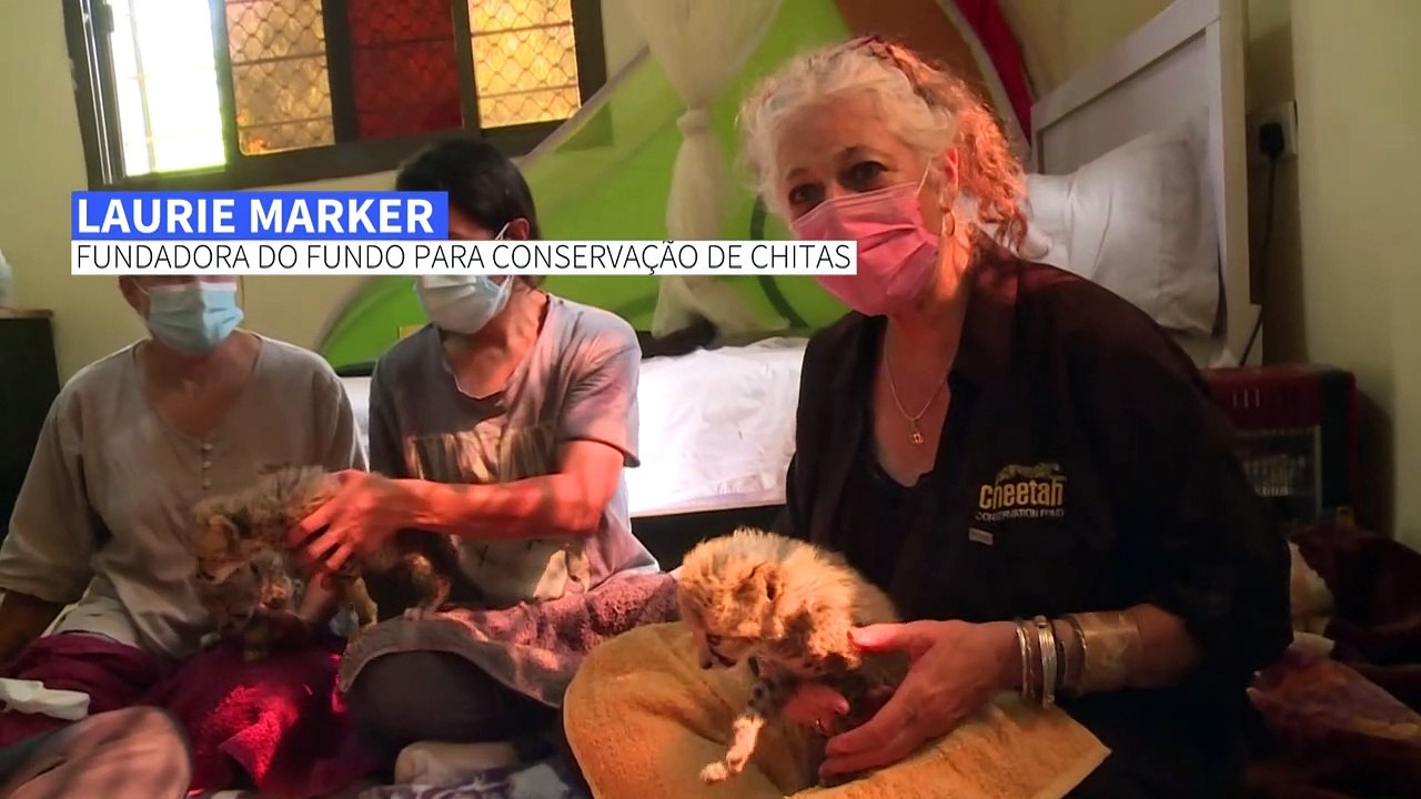 O trauma das chitas