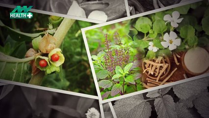 Ayurveda: Amazing Herbs that can help you to fight stress and anxiety 