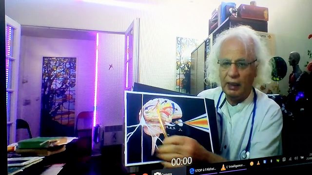 132.LES NOUVELLES NEUROSCIENCES - L INTUITION - RECENTES revelations