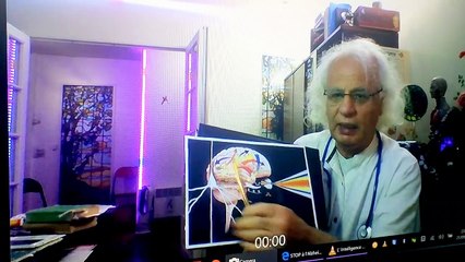 132.LES NOUVELLES NEUROSCIENCES - L INTUITION - RECENTES revelations