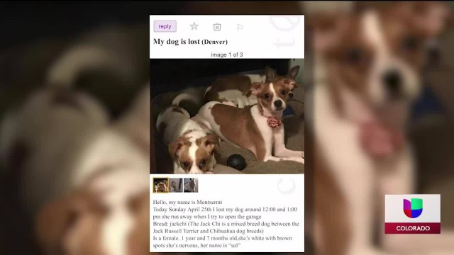 Noticias Colorado 10pm 042721