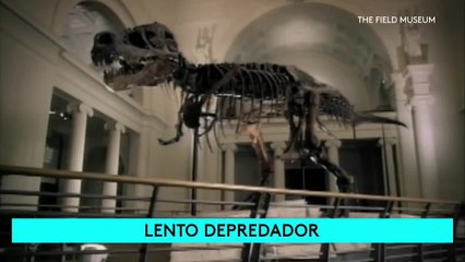 Noticias Tampa 6pm 042721