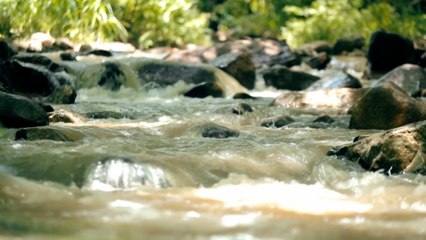 Eligen nueva junta directiva del Comité de Cuenca del Río Dipilto