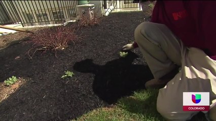 Ayudas económicas para trabajadores independientes