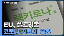 EU, 셀트리온 코로나 항체치료제 승인...중증 위험 환자 치료 / YTN