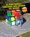 ¿Podrías resolver un gigantesco cubo mágico? Él sí.