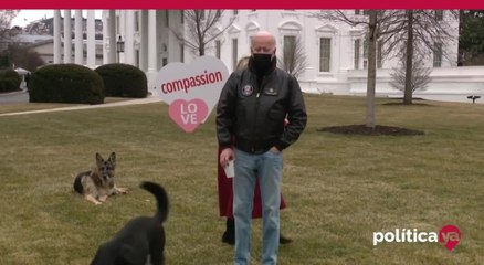 Archivo: Major perro de Joe Biden