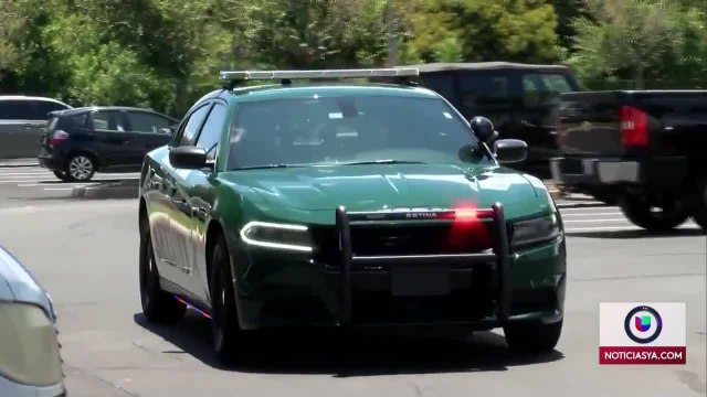 Rosal-Carreras ilegales Florida