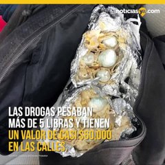 Perro olfateador de CBP descubre drogas escondidas en burritos