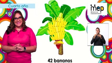 #AprendoEnCasa Matemática: Fracciones propias y su representación (Cuarto Año - Primaria)