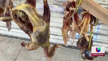 Noticias Nuevo Mexico 5pm 033021
