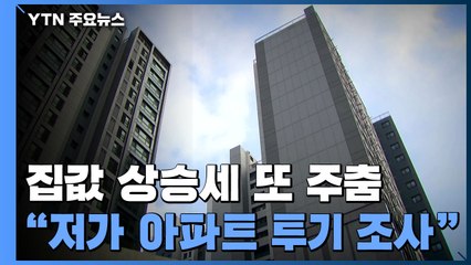 [상암동 복덕방]  집값 상승세 또 주춤..."저가 아파트 투기 기획조사" / YTN