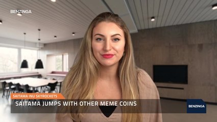 Saitama Inu Skyrockets