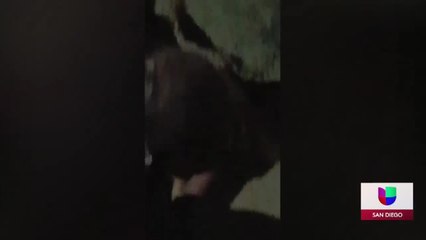 Noticias San Diego 6pm 032421 - Clip CUBAN DROWNED