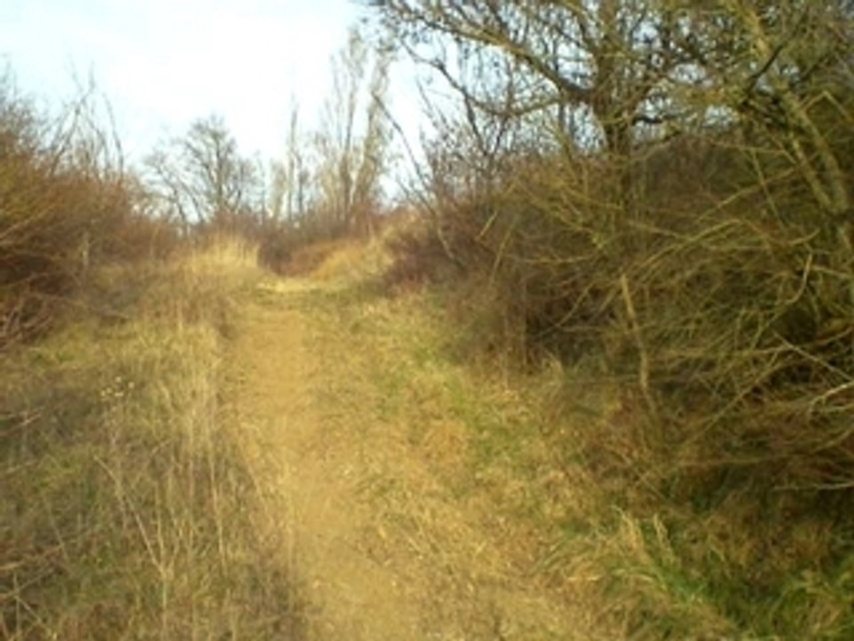Cr 125 2