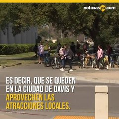 UCD ofrece becas a sus estudiantes para que no viajen durante spring break