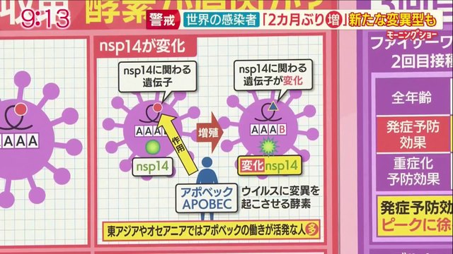 コロナ「第５波」収束の一因はウイルス内の異変？ ３回目のワクチン接種時期や副反応は？ 後半 20211102