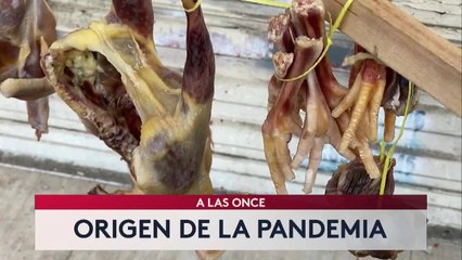 Noticias Orlando 11pm 033021