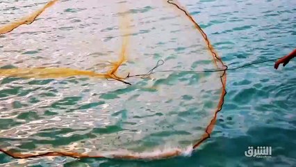 ...شرق بالتعاون مع أرقام على ابرز الأخبار و...