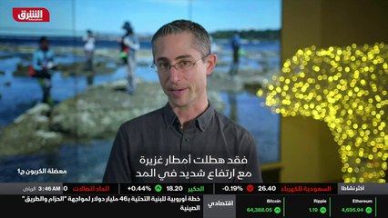 ...مستوى سطح البحر بسرعة في جنوب شرق آسيا ،...