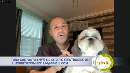 Despierta Orlando 030521 - LOGAN