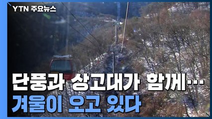 단풍과 눈꽃이 함께...겨울이 오고 있다 / YTN