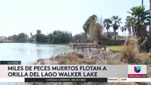 Noticias McAllen 5pm 022421