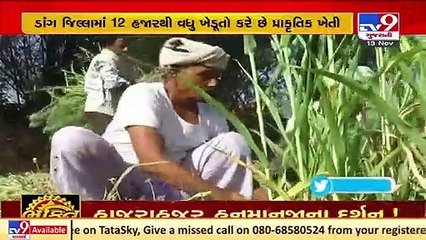 To further boost organic farming in Dang, Gujarat govt makes this announcement _ TV9News
