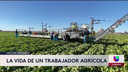 Noticias Colorado 10pm 022621