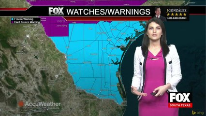 Fox McAllen news 9pm 021921