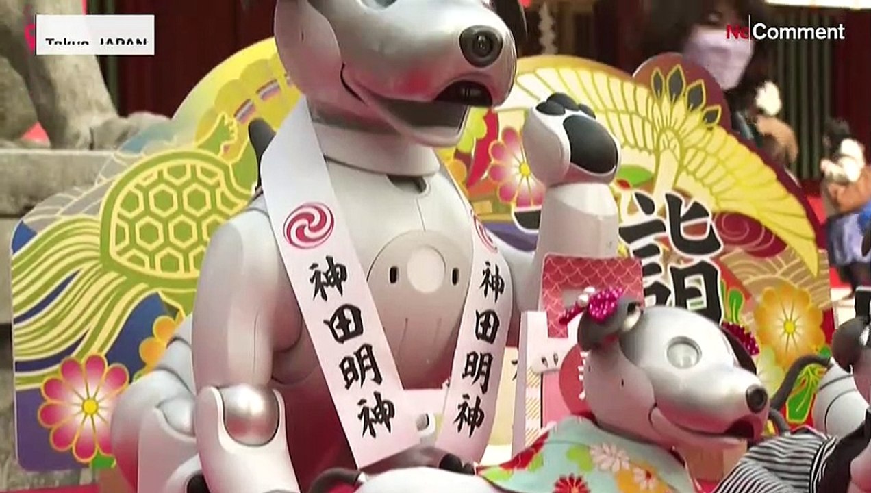Roboter-Hunde werden von Priester gesegnet