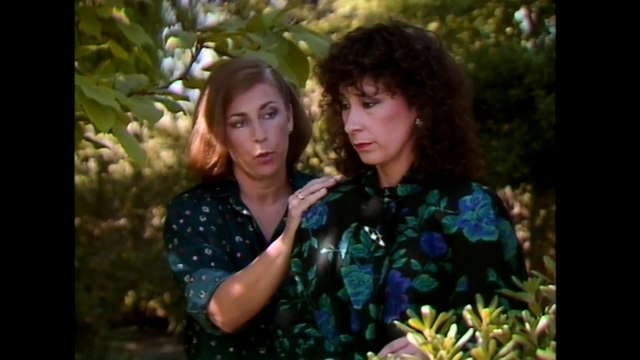 Las Dos Caras del Amor - Capitulo 29