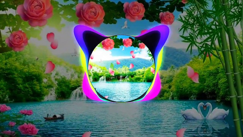 KIMI_NO_TORIKO_(_DJ_Remix_) Mp3 Popular Songs .