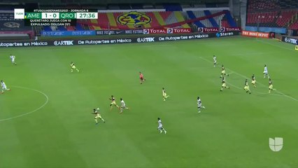 Noticias Tampa 11pm 021321