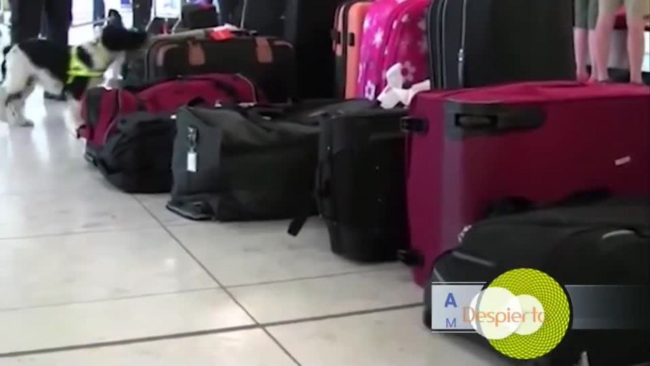 Despierta Orlando 021521 - Yomar Alvarez