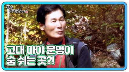 고대 마야 문명이 숨 쉬는 곳?! 순도 100% 리얼 야생 라이프!! 나는 자연인이다 478회 예고