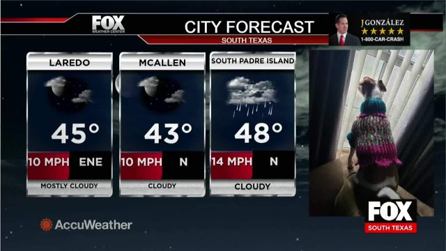 Fox McAllen news 9pm 021721