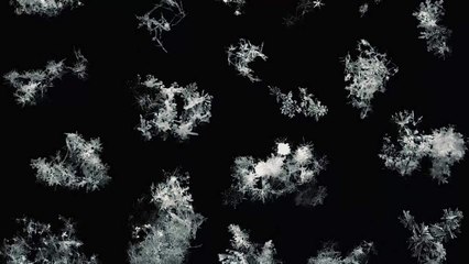 WhatsApp Video 2021-02-17 at 7.35.01 PM