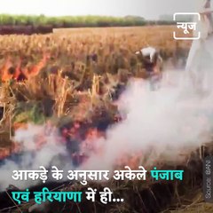 Punjab Farmers Burn Stubble