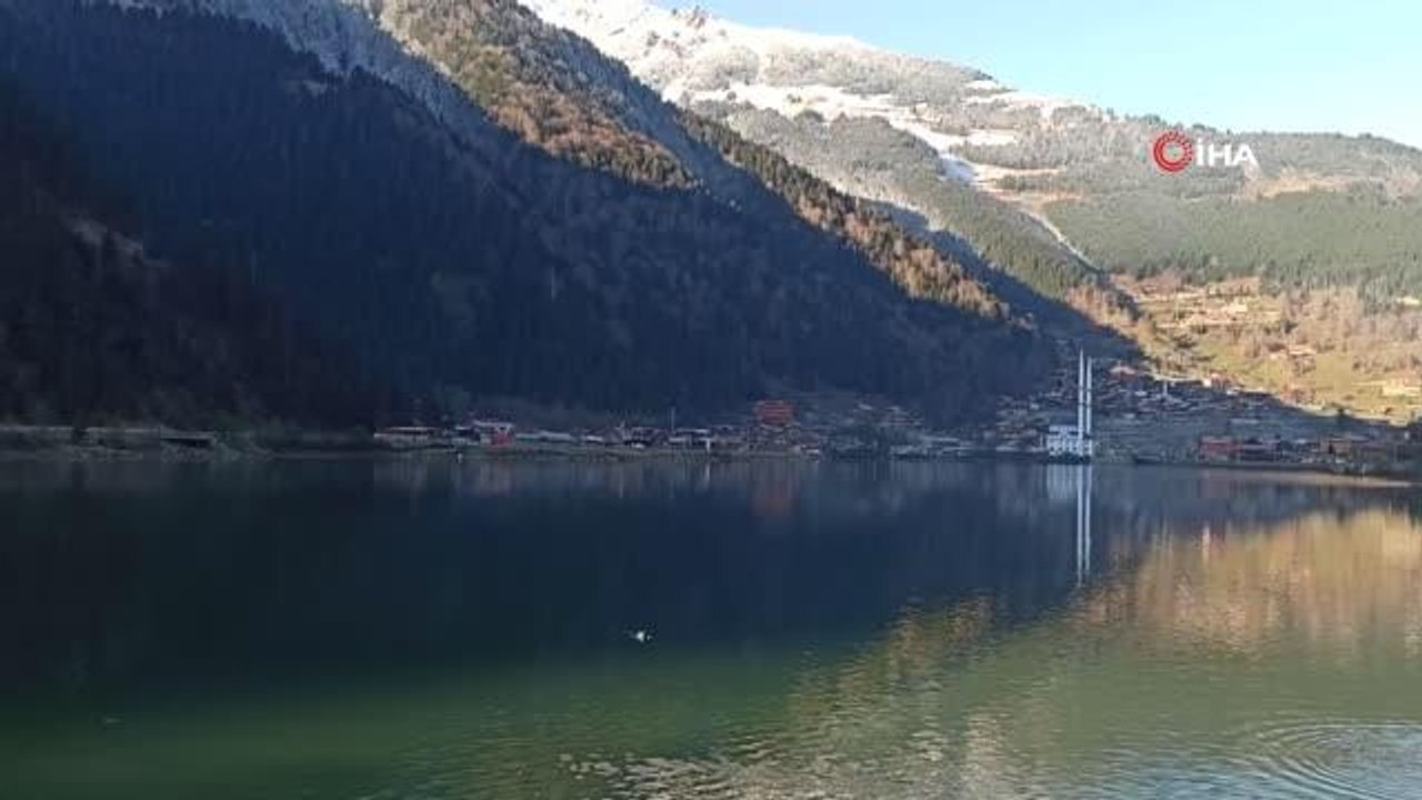 Uzungöl'deki balık ölümleri ve balıklardaki mantar hastalığı ile ilgili inceleme başlatıldı