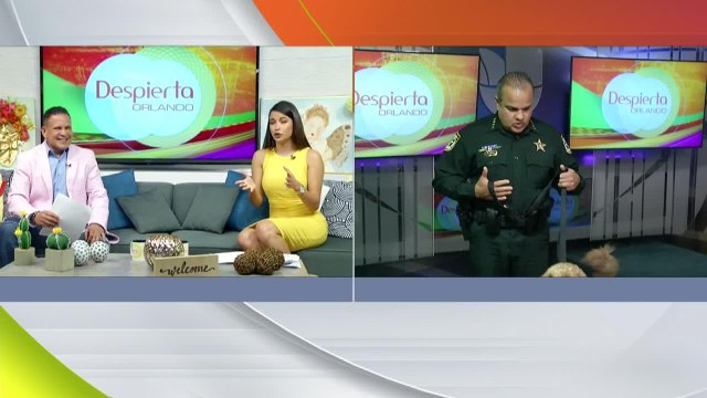 Despierta Orlando 020821