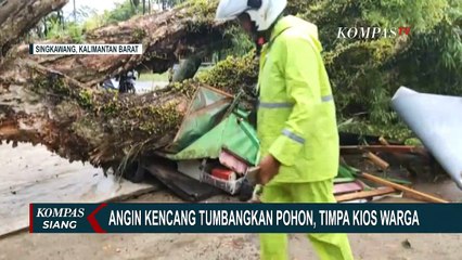 Pohon Tumbang Akibat Angin Kencang dan Hujan Deras di Menimpa Kios Warga dan Menutup Jalan!